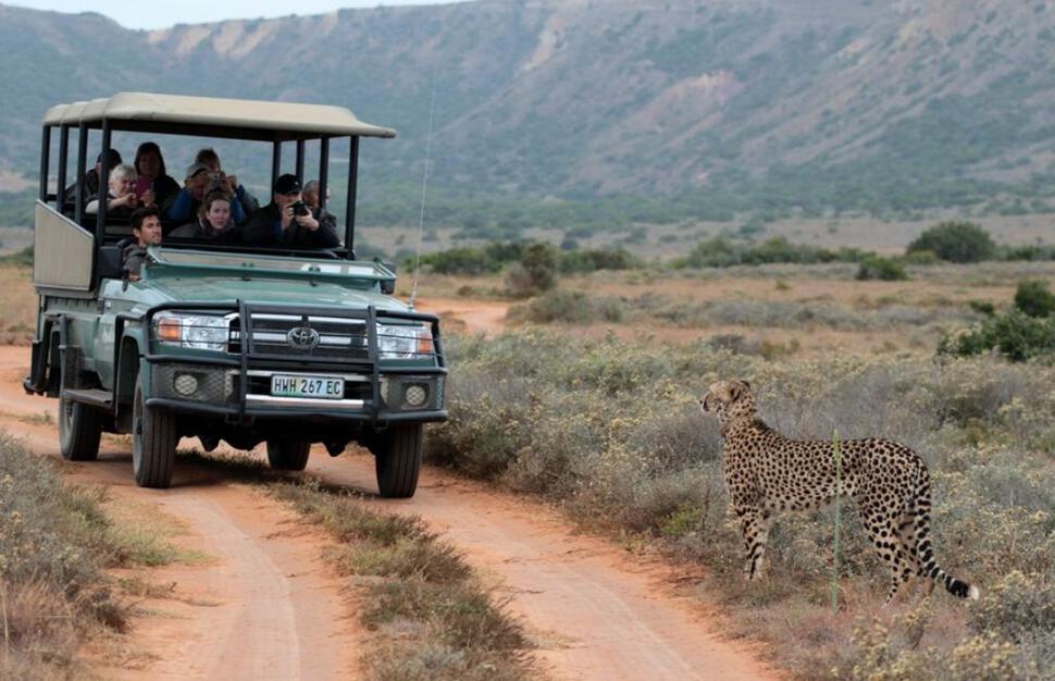 Amakhala Game Reserve - Bush Lodge