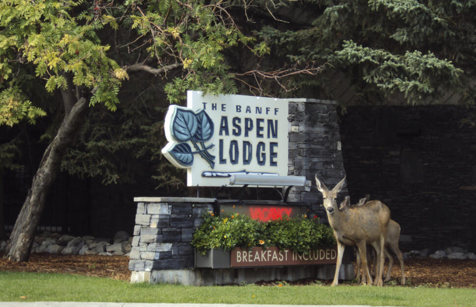 Banff Aspen Lodge