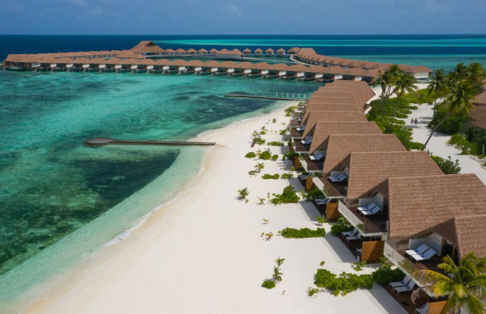 Cinnamon Velifushi