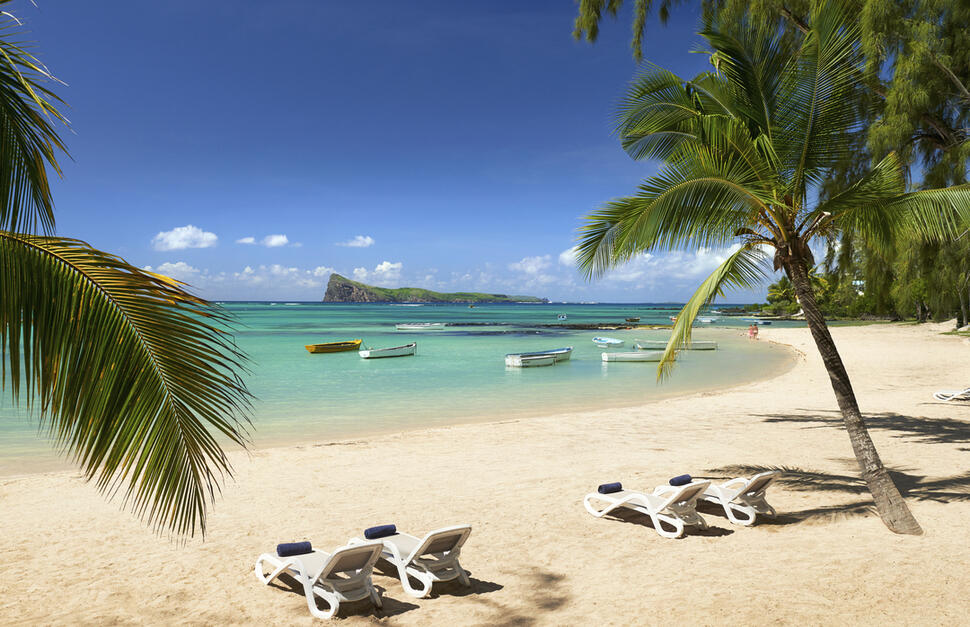 Coin de Mire Attitude