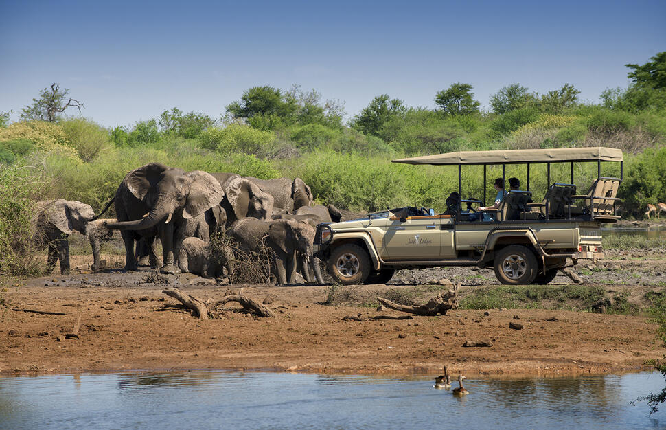 Jaci's Safari and Tree Lodge