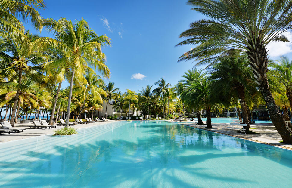 The Ravenala Attitude